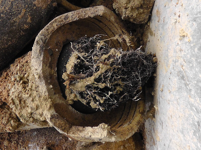 Ein alter Kanal komplett verstopft Ein alter Kanal komplett verstopft