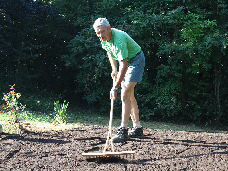 Wiedemann, zum Schluss muss abgerechnet werden Wiedemann, zum Schluss muss abgerechnet werden
